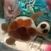 Pendentif perle de verre filé au chalumeau Décors fonds marins **vendu** – Image 4
